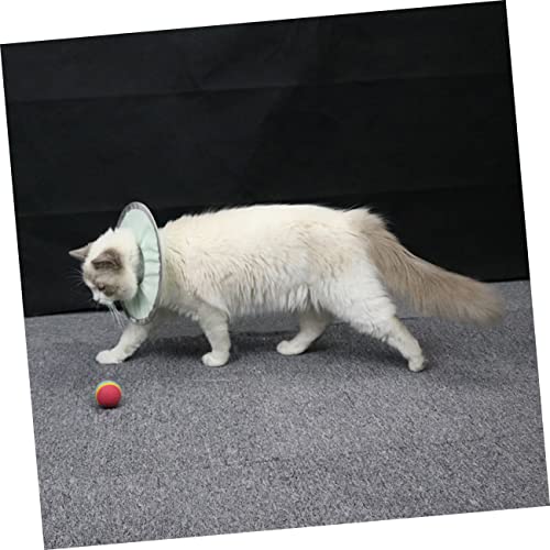 Collier de récupération chat et cône chiot anti-léchage x2