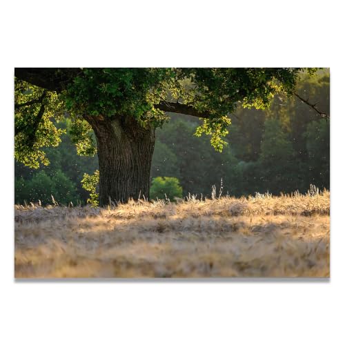 Cuadro decorativo VHdfgTY Tronco Robusto paisaje montañas canvas 30x45cm sin marco