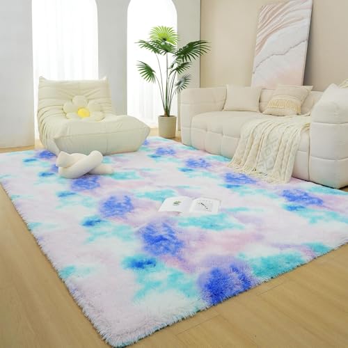home colorful rug