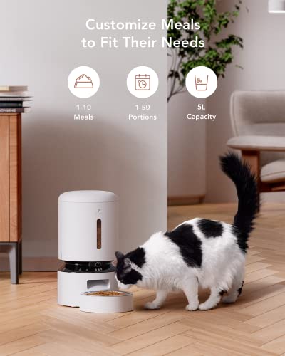 Comedero con fuente de agua para gatos y perros PETLIBRO miniatura 3