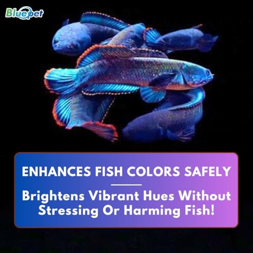 Image of Bluepet BL-S150 Colour Booster Submersible LED Light for Aquarium Fish Tank | Enhances Fish Colours & Mimics Natural Sunlight | Durable & Energy Efficient Design. (150cm)