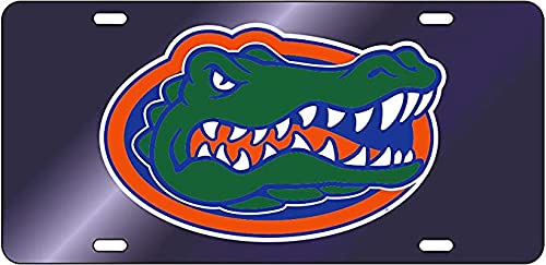 Dixie Dawgs Florida Gators Acrylic License Plate Officially Licensed