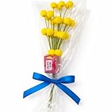 Otherwisetrivial Idea Regalo Pasqua - Ramo di Mimosa Artificiale 18cm con un Cioccolatino Moncheri alla Ciliegia 10,5g - Confezione Regalo Elegante con Fiocco