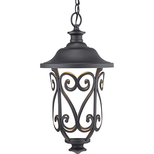 Leawood LED Collection 1-Light Modern Outdoor Hanging Lantern Light Textured Black