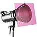 Neewer 12 Pack 8.5x11 inches/21x28 Centimeters Transparent Color Correction Lighting Gel Filter Set for Photo Studio Strobe Flashlight(Pink)