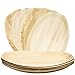 6 Palm Leaf Disposable Platters, Biodegradable Eco Friendly Bamboo Wood Like Oval Serving Trays 15 x 10 Inches Paper and Plastic Alternative