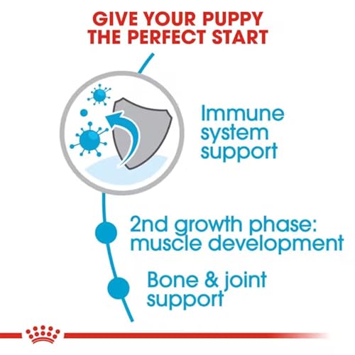 Image of Royal Canin Giant Junior Dry Dog Food, Chicken, 3.5 Kg