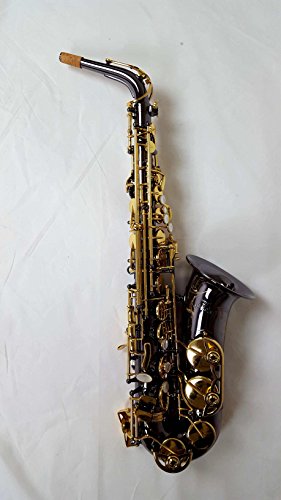 Selmer La Voix ll Alto Saxophone Outfit-Black