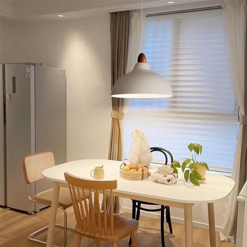 Lampe à suspension avec base E27 et dôme métallique style industriel