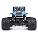 Losi 1/18 Mini LMT Son Uva Digger 2S 4X4 RTR Brushed Monster Truck Battery & Charger Included Blue LOS01026T2