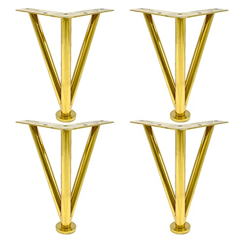 ߉\ȋwAsƋr 4Zbg _ DIY \t@xbh HI R[q[e[ur h hK 30cm/11.8C` ubN/S[h/Vo[ S[hdグ