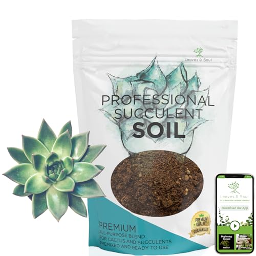Succulent Soil Premium All Purpose Blend | Large 2.2 Quarts | Pre-Mixed Ready to Use for Cactus and Succulents | Canadian Peat, Course Sand, Pinebark | Made in USA
