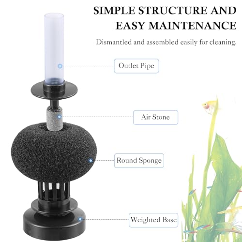 Hitop 2 Pack Aquarium Bio Sponge Filter: 4In Mini Air-Powered Fish Tank Filter, Quiet Small Sponge Filter For Up To 15Gallon Fish Tank, Betta Tank thumb #2