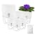 Self Watering Pots for Indoor Plants with Stones