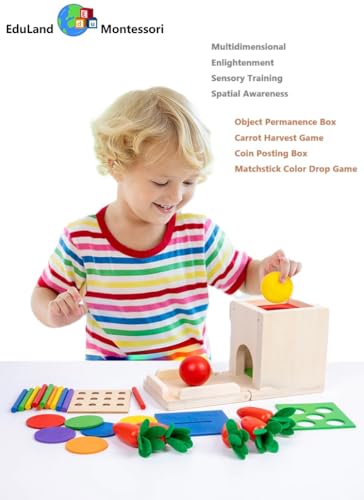 EduLand Montessori Practical Life Wooden 4-in-1 Toddlers Play Kit, Object Permanence Posting Coin Box, Carrot Harvest, Color Sticks Push- Matching, Motor Skill for Babies Kids 3-6 Years Old