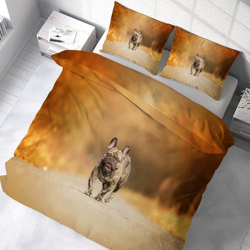 Housse couette microfibre douce bouledogue 160x200 finition fermeture éclair - 5