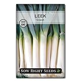 Sow Right Seeds - Giant Leek Seeds for Planting - Non-GMO Heirloom Packet with Instructions to Plant and Grow an Outdoor Home Vegetable Garden - Large Green Chive Onion - Cook Asian Cuisine (1)