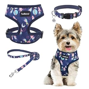 SCENEREAL Small Dog Harness Collar and Leash Set, Adjustable No Pull Pet Harnesses, No Chock Soft Mesh Step in Vest for Doggie Puppy Medium Dogs Cats Girl or Boy,Chihuahua, Yorkie, Outdoor Walking