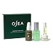 Blemish Control & Oil Balancing Everyday Essentials