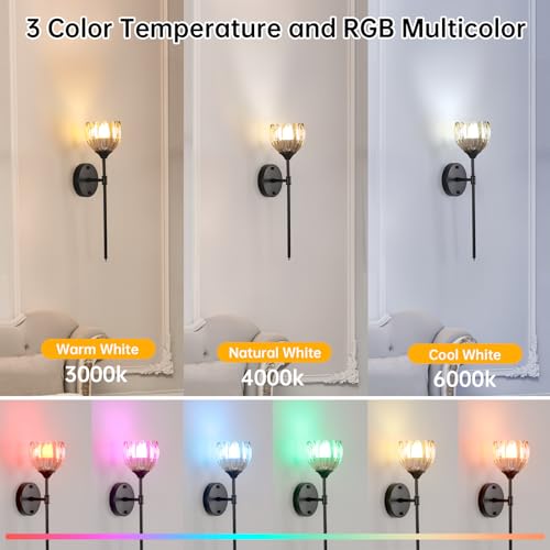 Image of Shenmoyl Battery Operated Wall Sconce Set of 2, Amber Tulip Vintage Wall Light Fixture Rechargeable 5000mAh Battery Powered Wall Lamp with Remote for Living Room Bathroom, Black