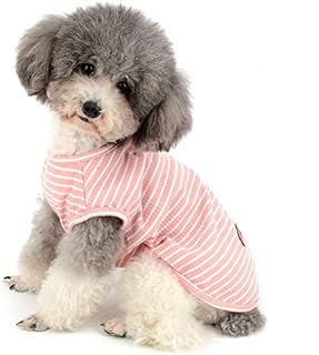 Zunea Dog Shirt for Small Dogs Cats Pet Striped T Shirt Summer Cool Vest Puppy Basic Tank Top Soft Cotton Chihuahua Clothes for Doggy Girl Boy Blue S