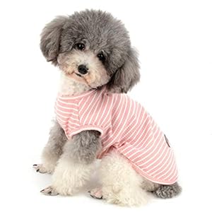 Zunea Chemises pour Petit Chien Chat T-Shirt Rayé D&rsquo;été Cool en Coton Doux Vêtement pour Chihuahua Chiot Chien Yourkshire Rose L