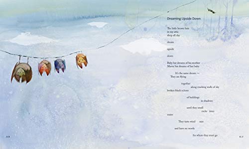 Climbing Shadows: Poems for Children - Image 4