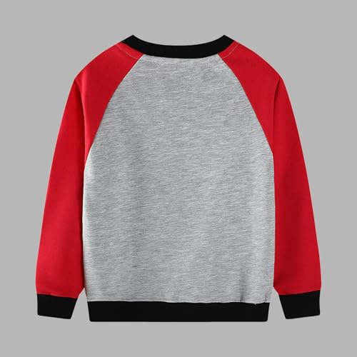 Girls Boys Toddler Cute Sweatshirt Crewneck Long Sleeve Sweatshirts Fashion Casual Loose Funny Graphic Pullover4