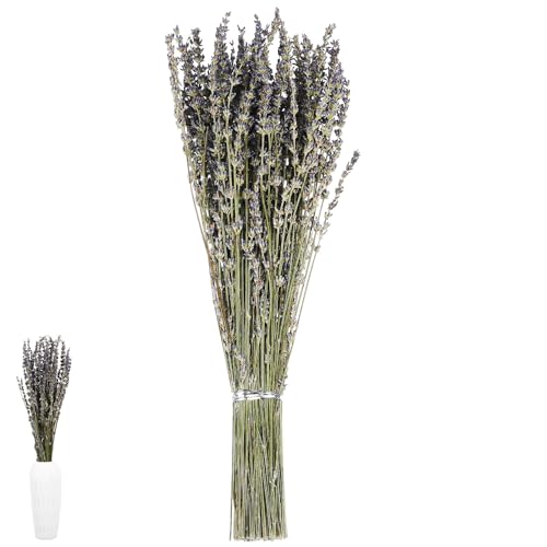Ramo de flores secas de lavanda BESPORTBLE miniatura 1