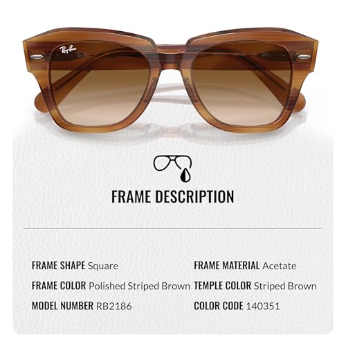 Ray-Ban RB2186 STATE STREET Square Shaped Sunglasses for Men & Women with Official RAYBAN Eyewear Kit3