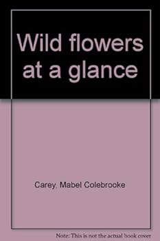 Hardcover Wild flowers at a glance Book