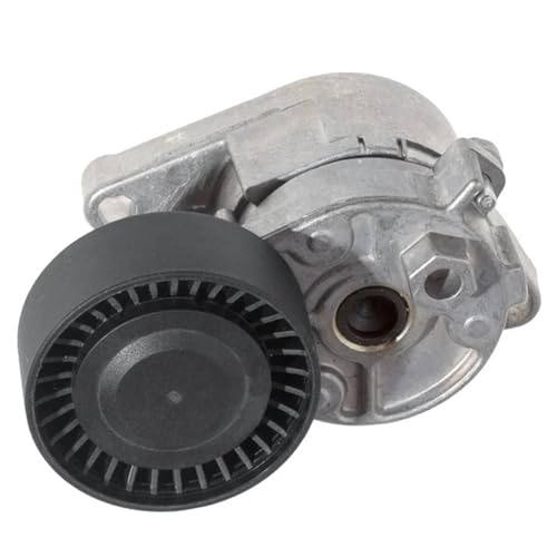 Tendeur de courroie 11281427252 pour BMW E46 E39 X3 X5 E60