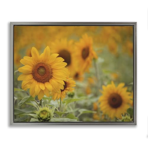 'Sunflower Field Nature Blooms'| Floating Frame Canvas Art
