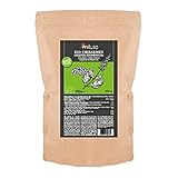 mituso Semillas de Chía Ecológicas, 1 paquete (1 x 800g)