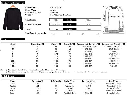 Livingston Shadow Lyric Long sleeve crew neck sweater Men/Women Longsleeve sweater2