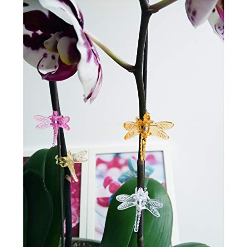Unigift 60 Pcs Orchid Clips,30 Pcs Dragonfly Plant Clips And 30 Pcs Ladybug Garden Plant Support Clips, Flower Vine Stem Clips For Garden Plant Decoration #TOP6
