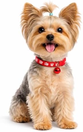 Coleira Ajustável Premium para Cães – Confortável, Ultra Resisten...