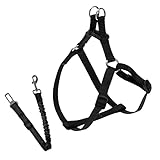 (GRAN REGALO): El pack incluye arnés + correa de paseo + correa de seguridad para ir en coche. Ideal si buscas el regalo perfecto para amigos y familiares con gatos, conejos y perros cachorros. Con este regalo serán la envidia del vecindario