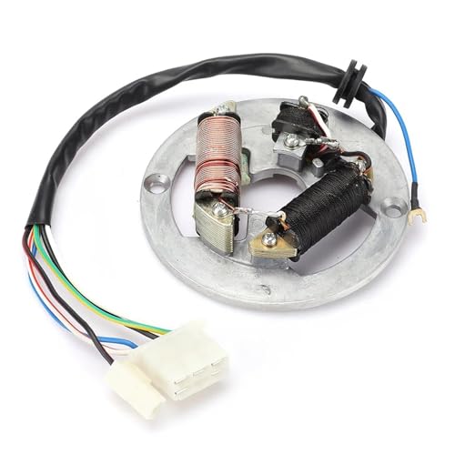 Stator d'allumage PW80 pour moto cross et plateau de bobine magnétique
