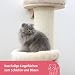 Kerbl Pet Kratzbaum Dolomit Tower, Ø38cm Höhe 187cm, beige