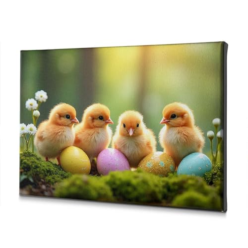 Toile salle de bain poussins PKRD 40x60cm pour habiller un mur vide