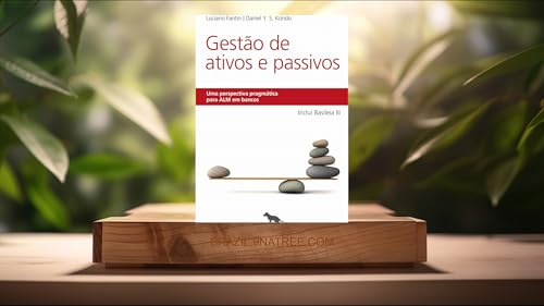 [An&aacute;lises] Gest&atilde;o de ativos e passivos (Luciano Fantin) Resumidos.