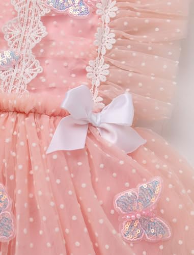 AWIBMK Baby Girl 1st Birthday Outfit Cake Smash Ruffle Sleeve V-Back Embroidery Flower Boho Lace Tulle Tutu Romper Dress4