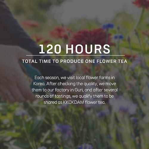 KKOKDAM Fancy Korean Tea Gift Set – Premium Flower Tea Stick Variety Pack - 5 Loose Leaf Blooming Flower Teas