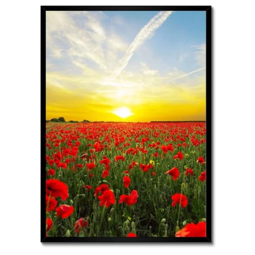 Coucher de soleil tableau champ de coquelicots cadre blanc 50x70 pour salon
