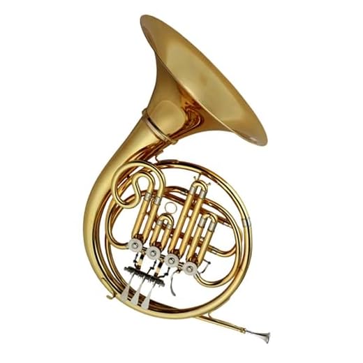 B Flat French Horn 4-key Single Row French Horn Western Wind Instrument With Case And Accessories French Horn Set