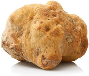 Fresh White ALBA Truffles 30g
