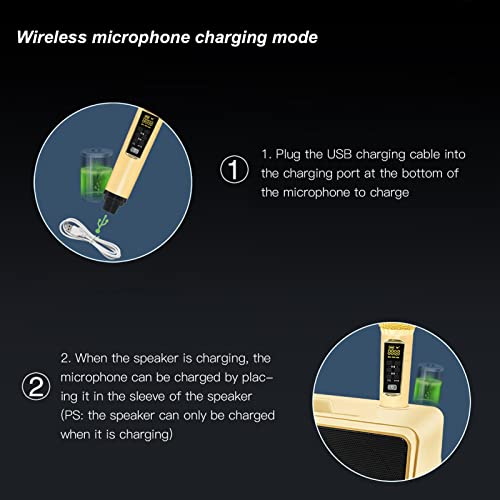 Sistema de Microfone Sem Fio Recarregável, Máquina de karaokê Dupla Sem Fio Suporte para Microfone B