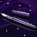 Asvine C80 Fountain Pen #8 Medium Nib Large Handcraft Pen with Converter Pen Box Collection Set (Purple Ripple)