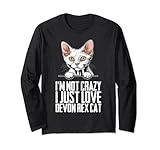 Photo Gallery gatto devon rex - devon rex - gattino devon rex maglia a manica Photo Gallery gatto devon rex - devon rex - gattino devon rex maglia a manica